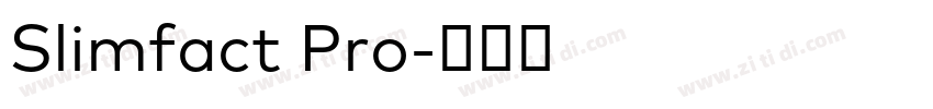 Slimfact Pro字体转换